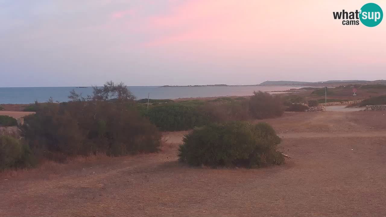 Mari Ermi Strand | Is Arutas – Oristano