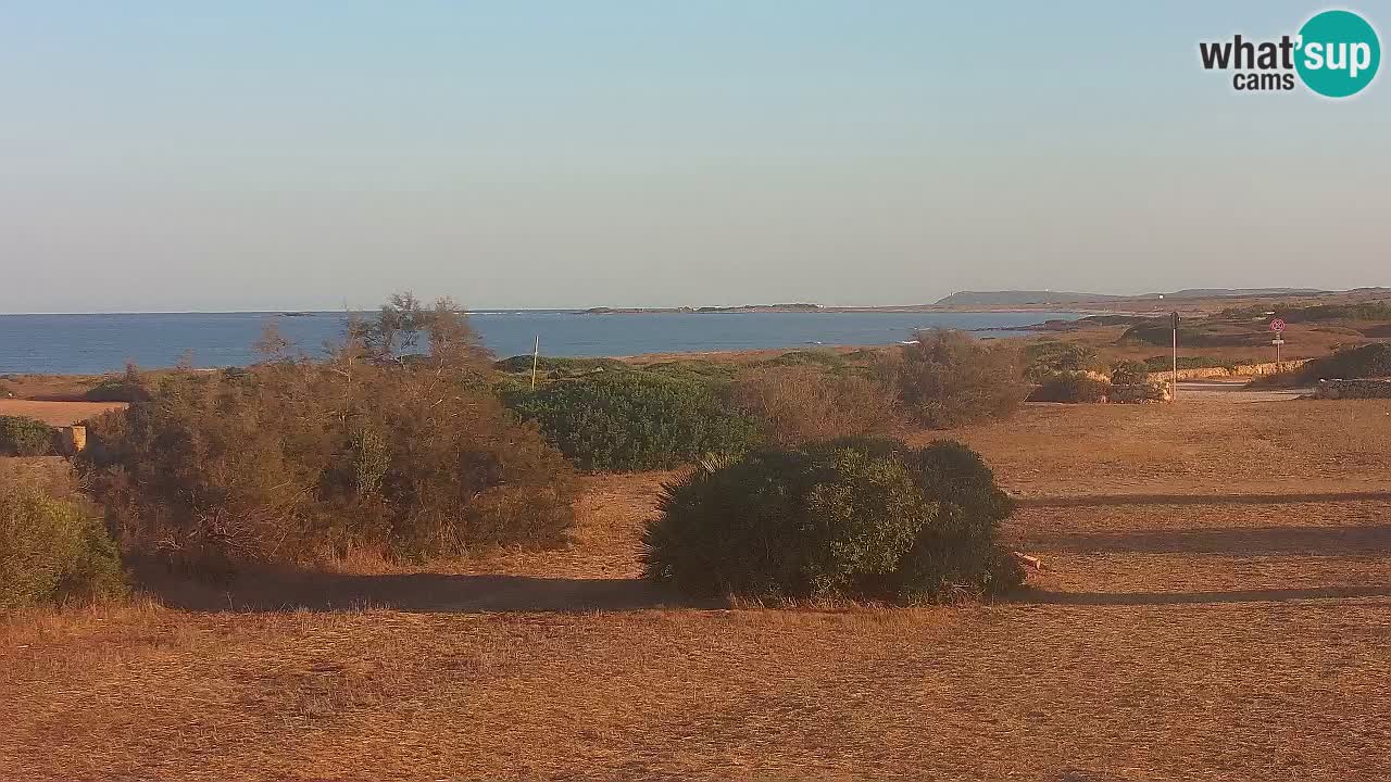 Playa Mari Ermi | Is Arutas – Oristano