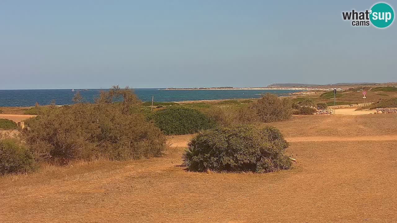 Playa Mari Ermi | Is Arutas – Oristano