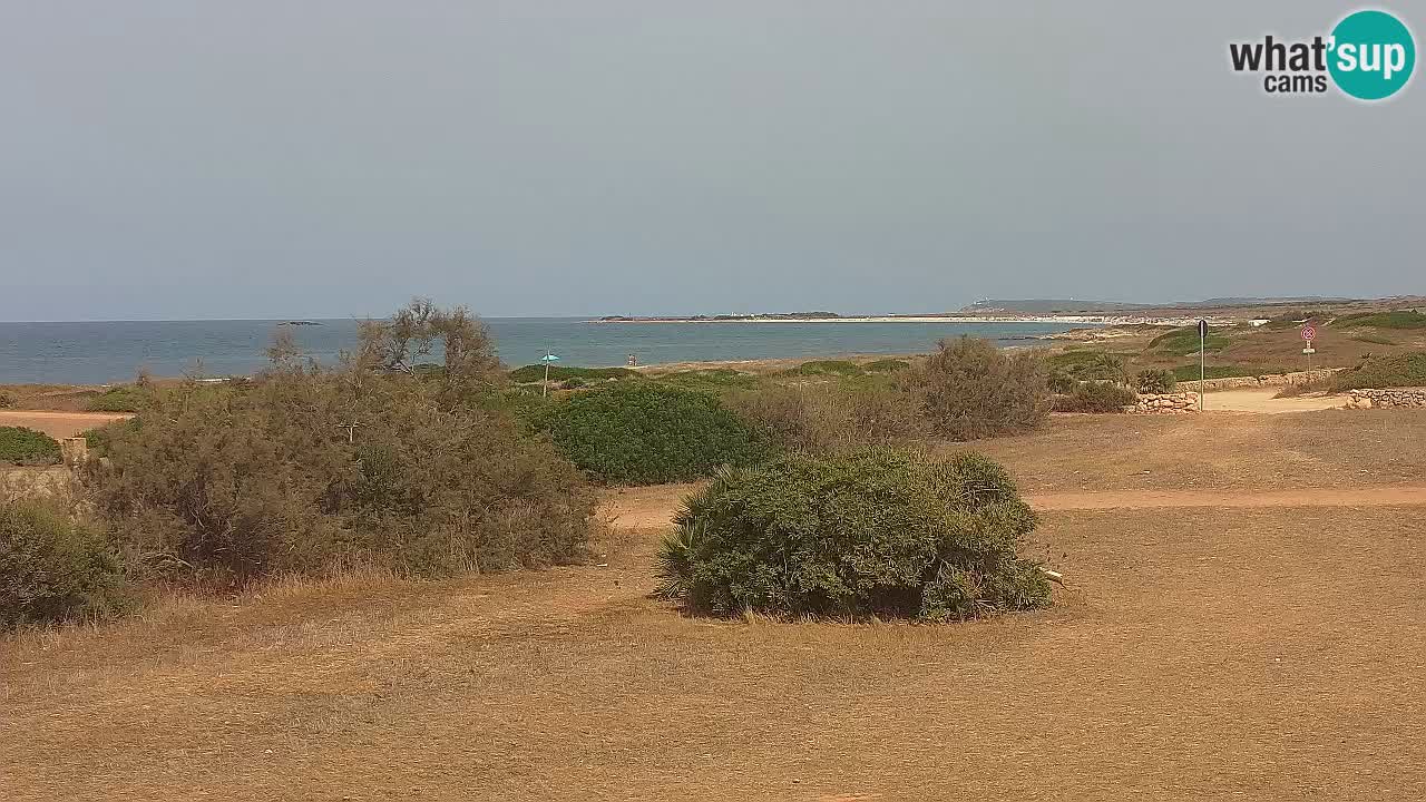 Mari Ermi beach | Is Arutas – Oristano
