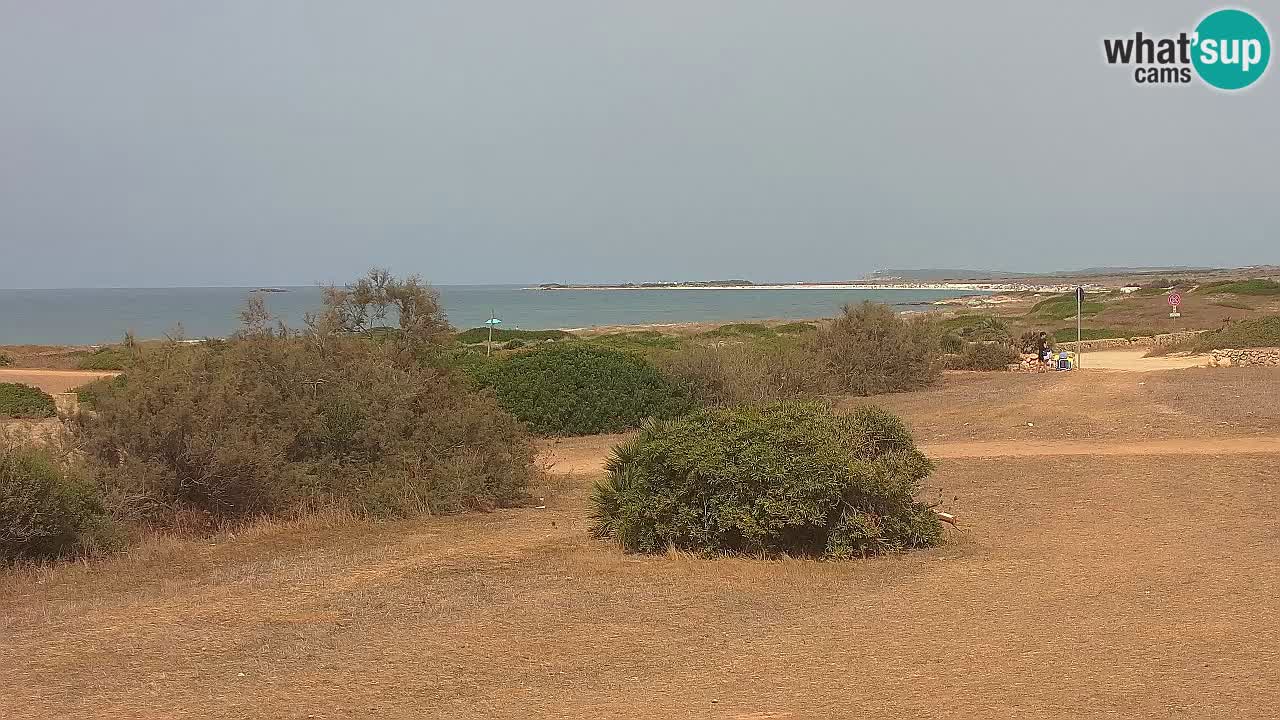 Playa Mari Ermi | Is Arutas – Oristano