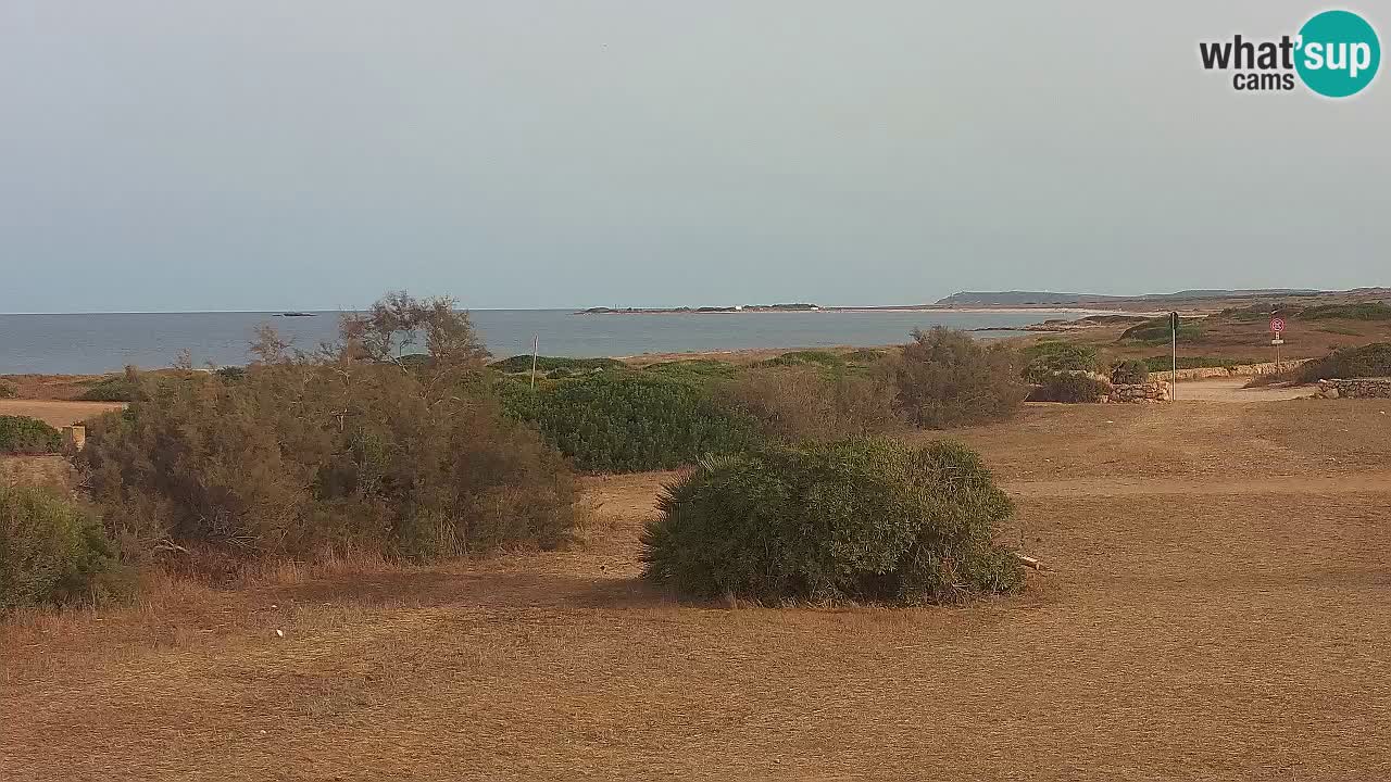 Plage Mari Ermi | Is Arutas – Oristano