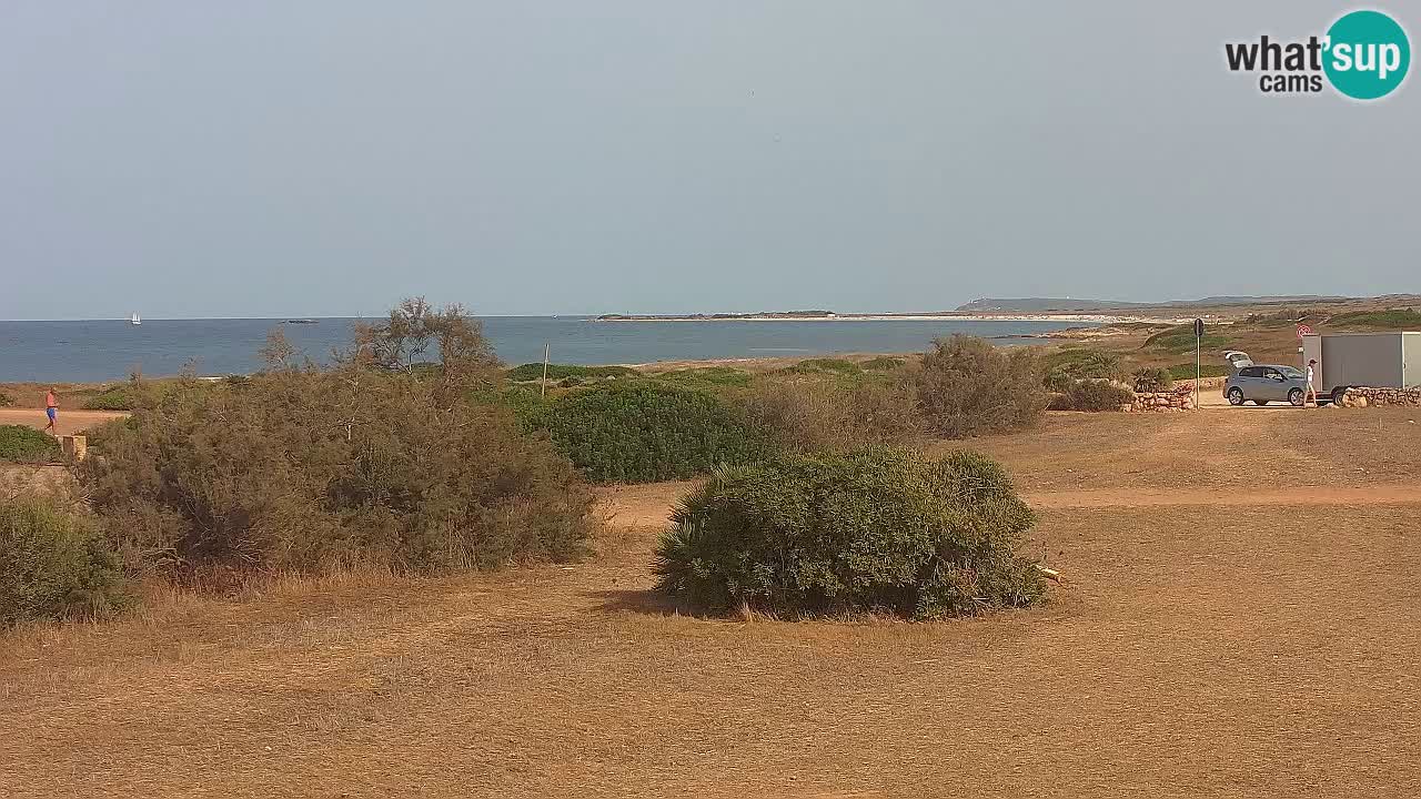 Playa Mari Ermi | Is Arutas – Oristano