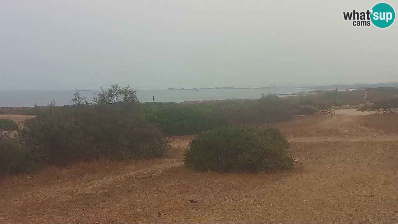 Mari Ermi beach | Is Arutas – Oristano