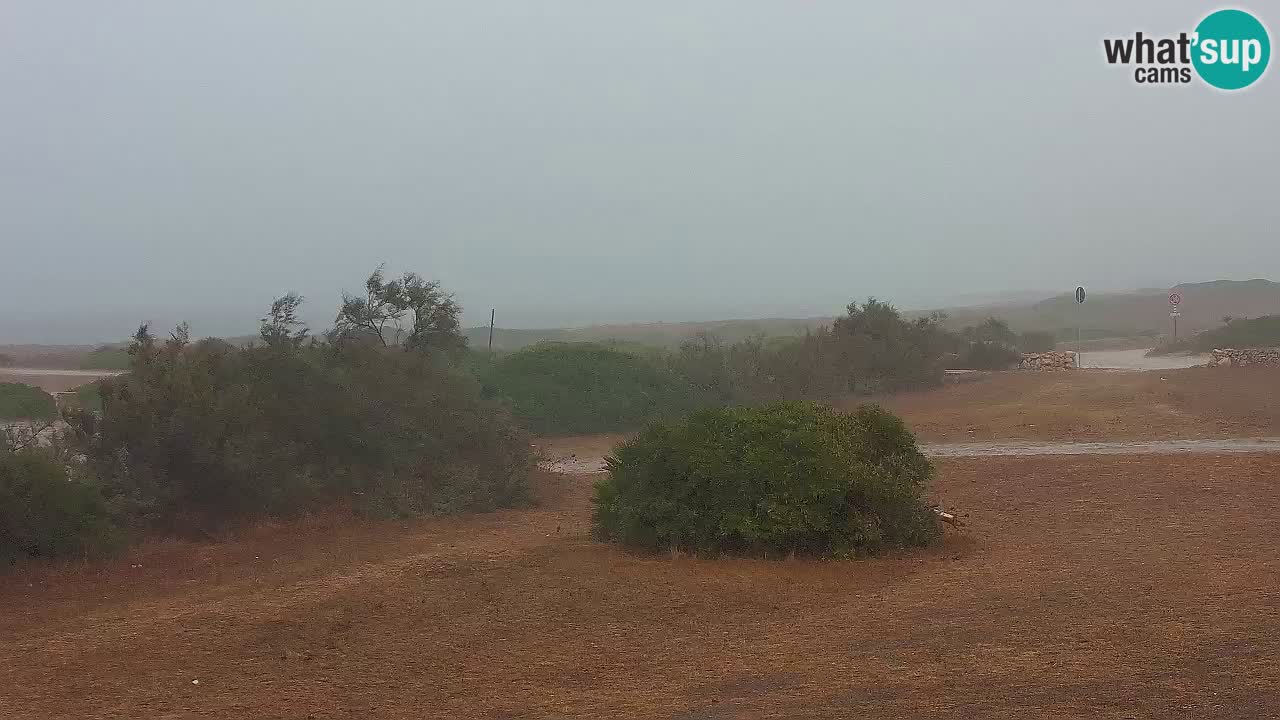 Plaža Mari Ermi | Is Arutas – Oristano