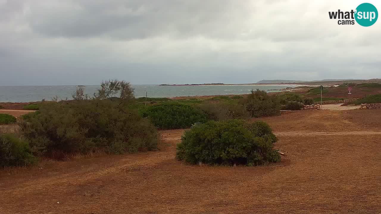 Plage Mari Ermi | Is Arutas – Oristano