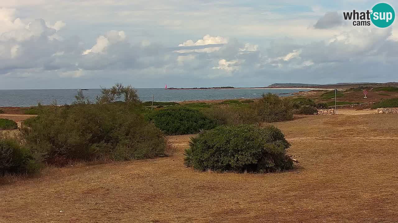 Plaža Mari Ermi | Is Arutas – Oristano