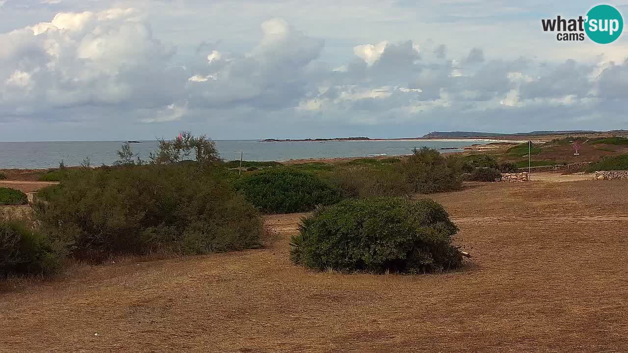 Mari Ermi Strand | Is Arutas – Oristano