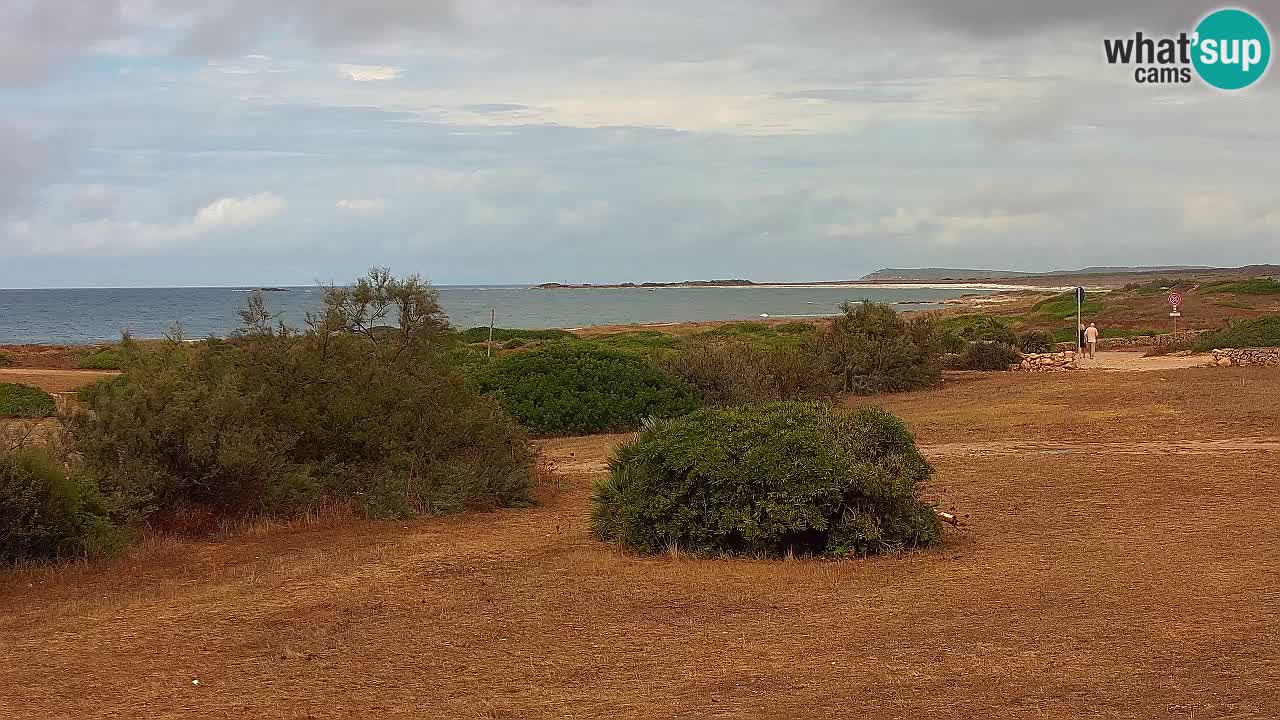 Playa Mari Ermi | Is Arutas – Oristano
