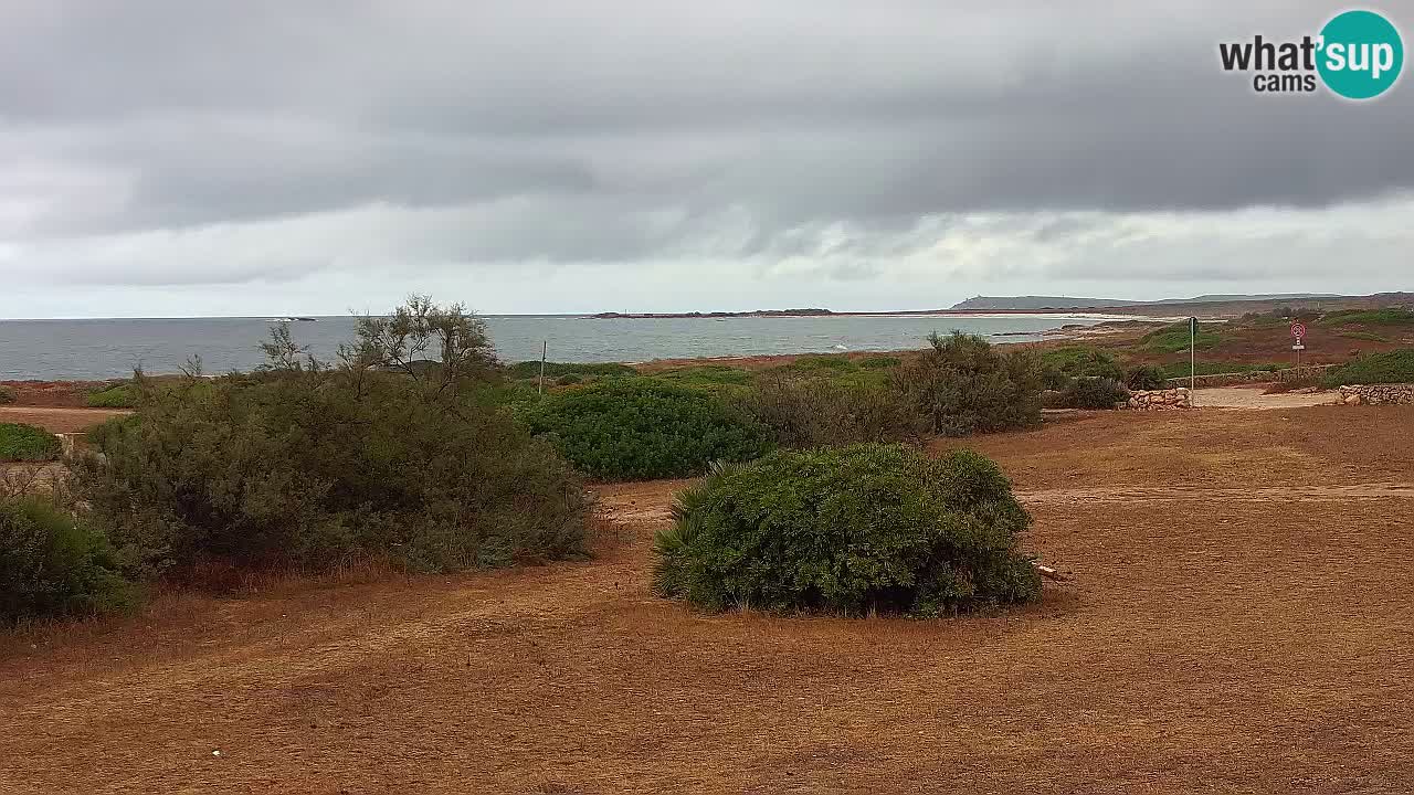 Mari Ermi beach | Is Arutas – Oristano