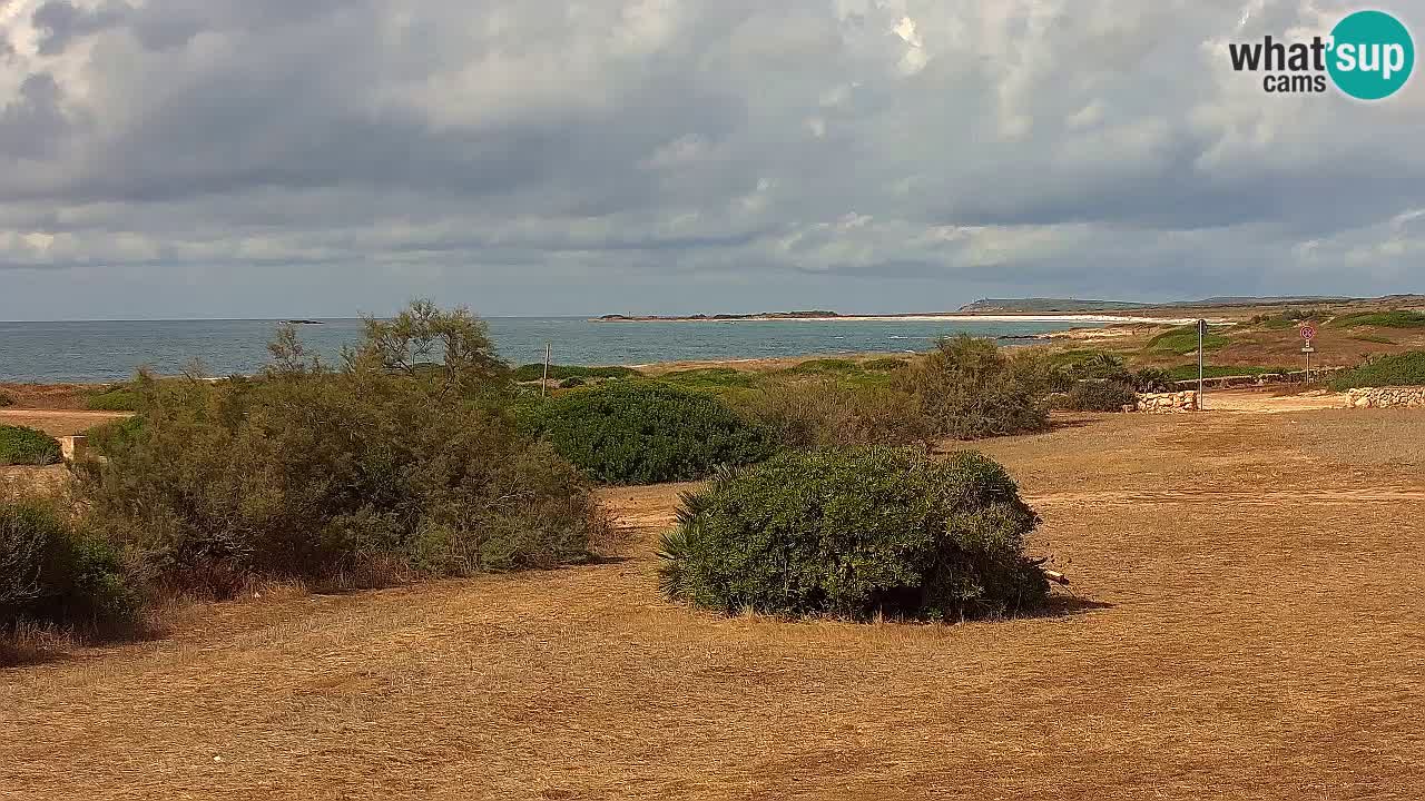 Spiaggia Mari Ermi | Is Arutas – Oristano