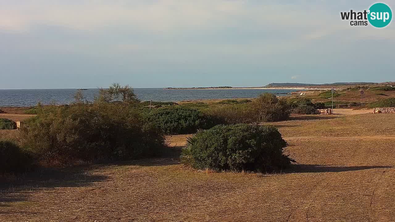 Mari Ermi beach | Is Arutas – Oristano