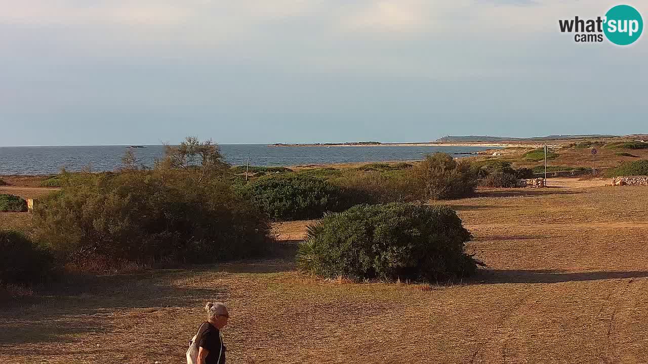 Mari Ermi beach | Is Arutas – Oristano