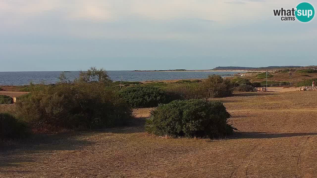 Mari Ermi beach | Is Arutas – Oristano