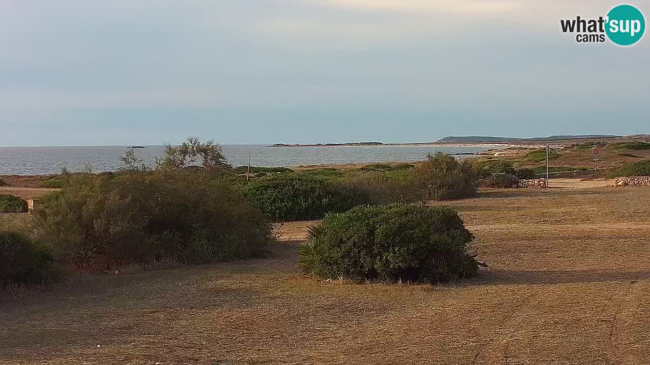 Plage Mari Ermi | Is Arutas – Oristano