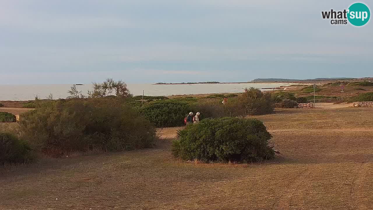 Spiaggia Mari Ermi | Is Arutas – Oristano