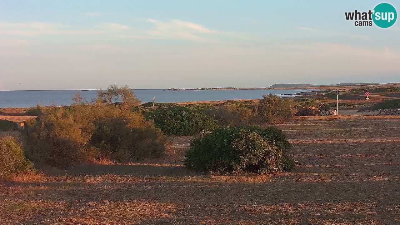 Mari Ermi Strand | Is Arutas – Oristano
