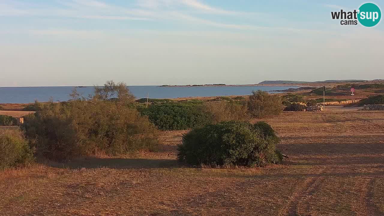 Playa Mari Ermi | Is Arutas – Oristano