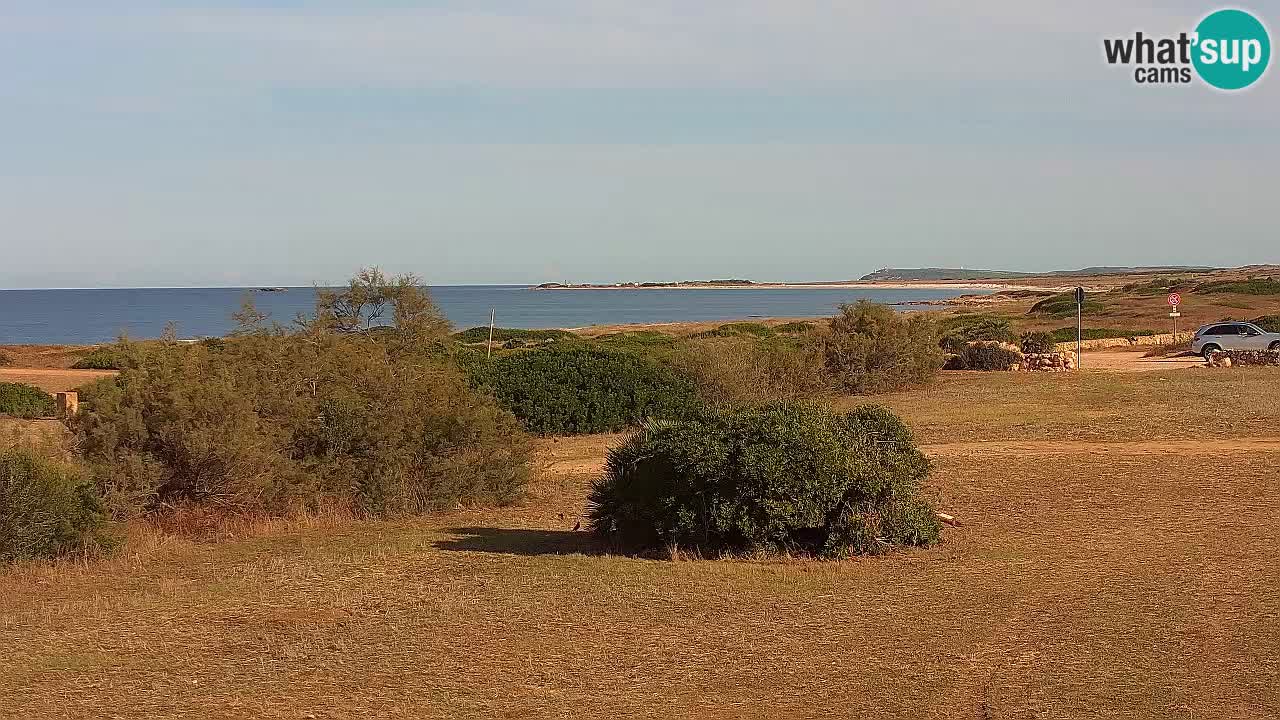 Mari Ermi beach | Is Arutas – Oristano