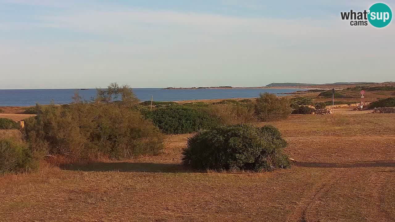 Plaža Mari Ermi | Is Arutas – Oristano