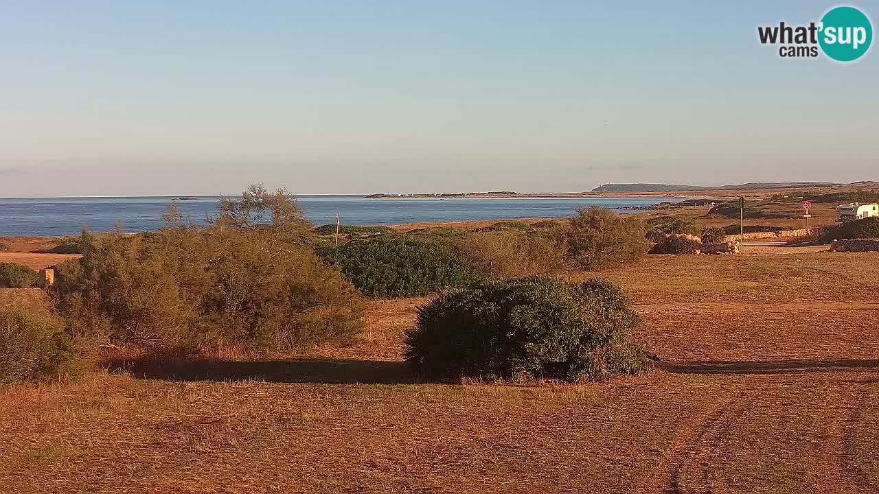 Playa Mari Ermi | Is Arutas – Oristano
