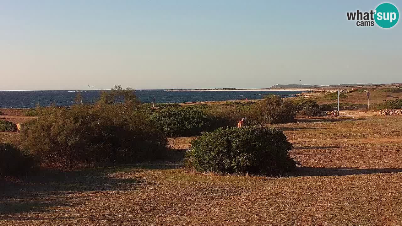 Plaža Mari Ermi | Is Arutas – Oristano