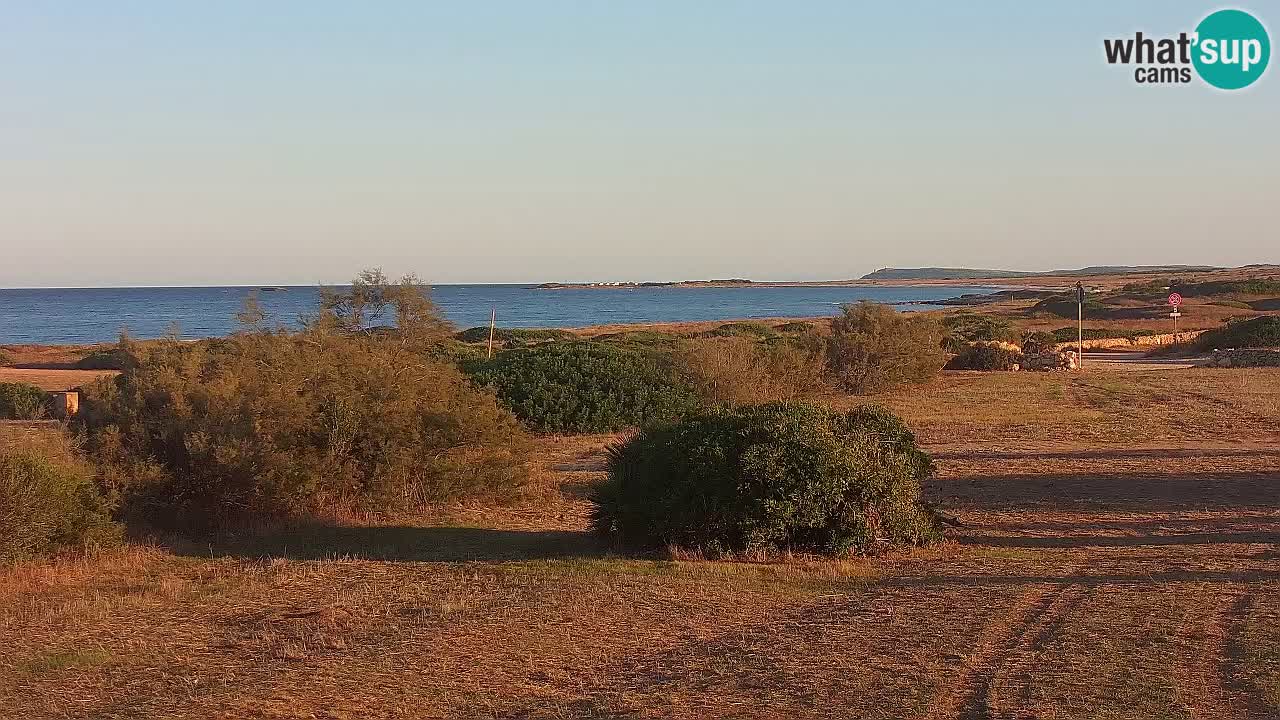 Mari Ermi Strand | Is Arutas – Oristano