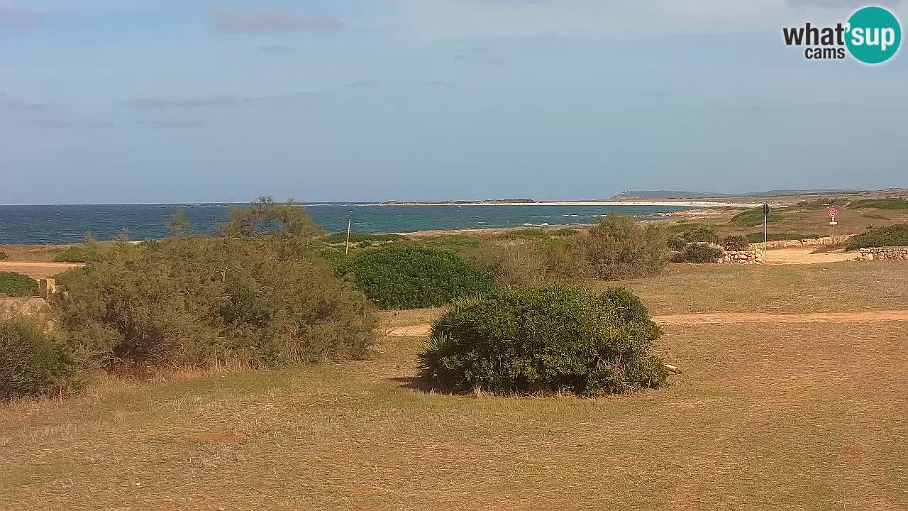 Mari Ermi Strand | Is Arutas – Oristano