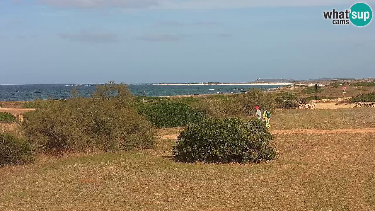 Plage Mari Ermi | Is Arutas – Oristano