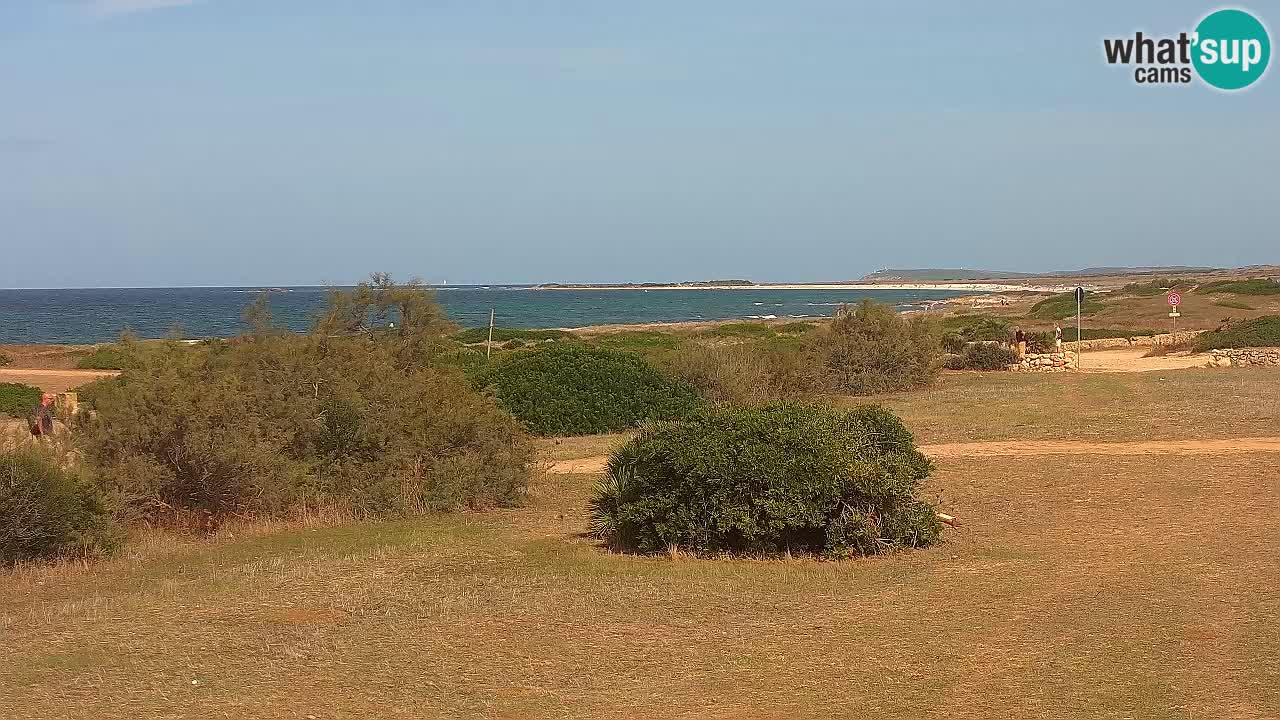 Mari Ermi Strand | Is Arutas – Oristano