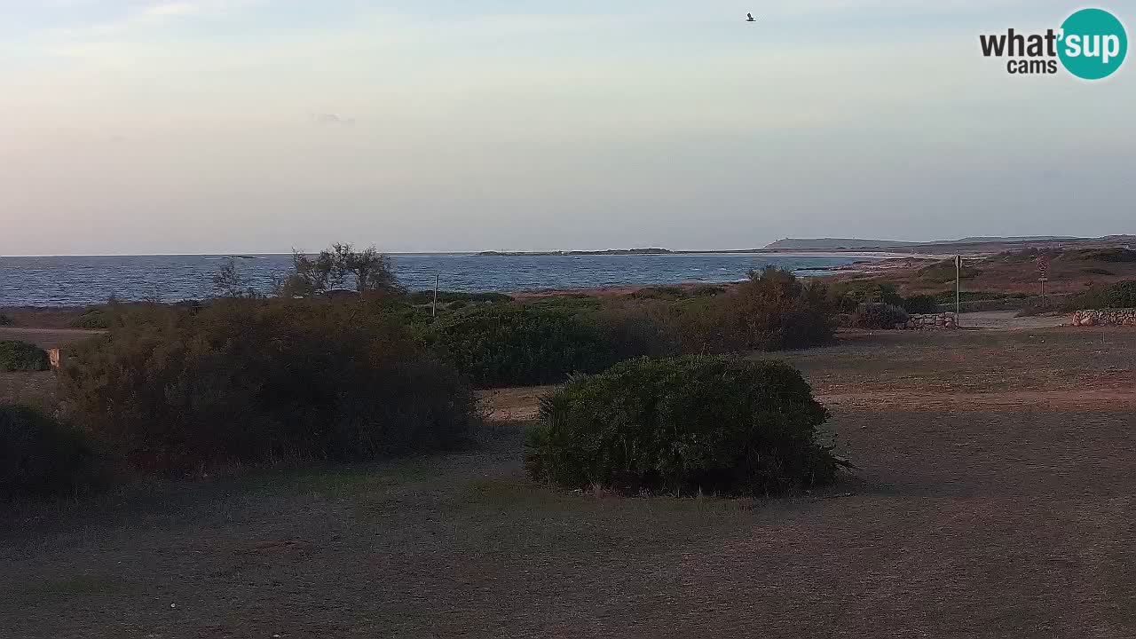 Mari Ermi beach | Is Arutas – Oristano