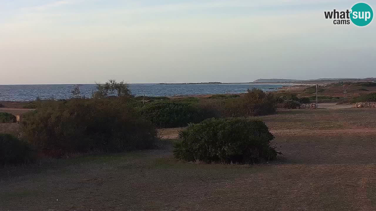 Spiaggia Mari Ermi | Is Arutas – Oristano