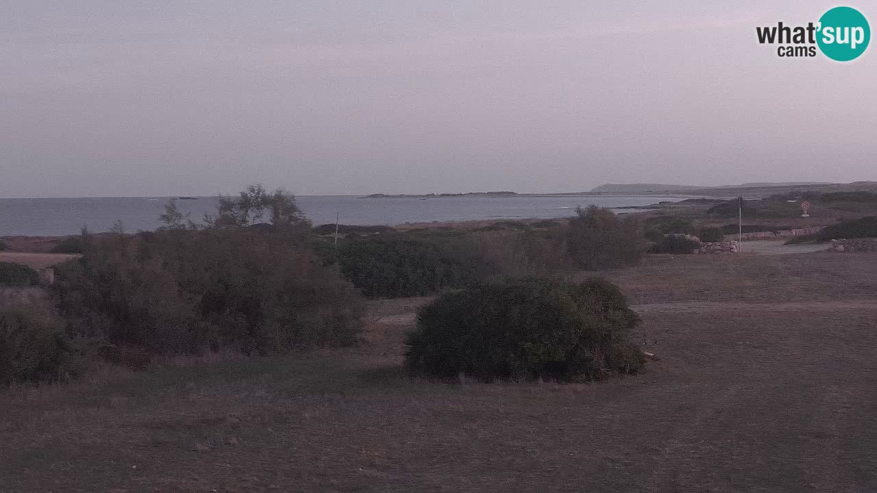 Mari Ermi Strand | Is Arutas – Oristano