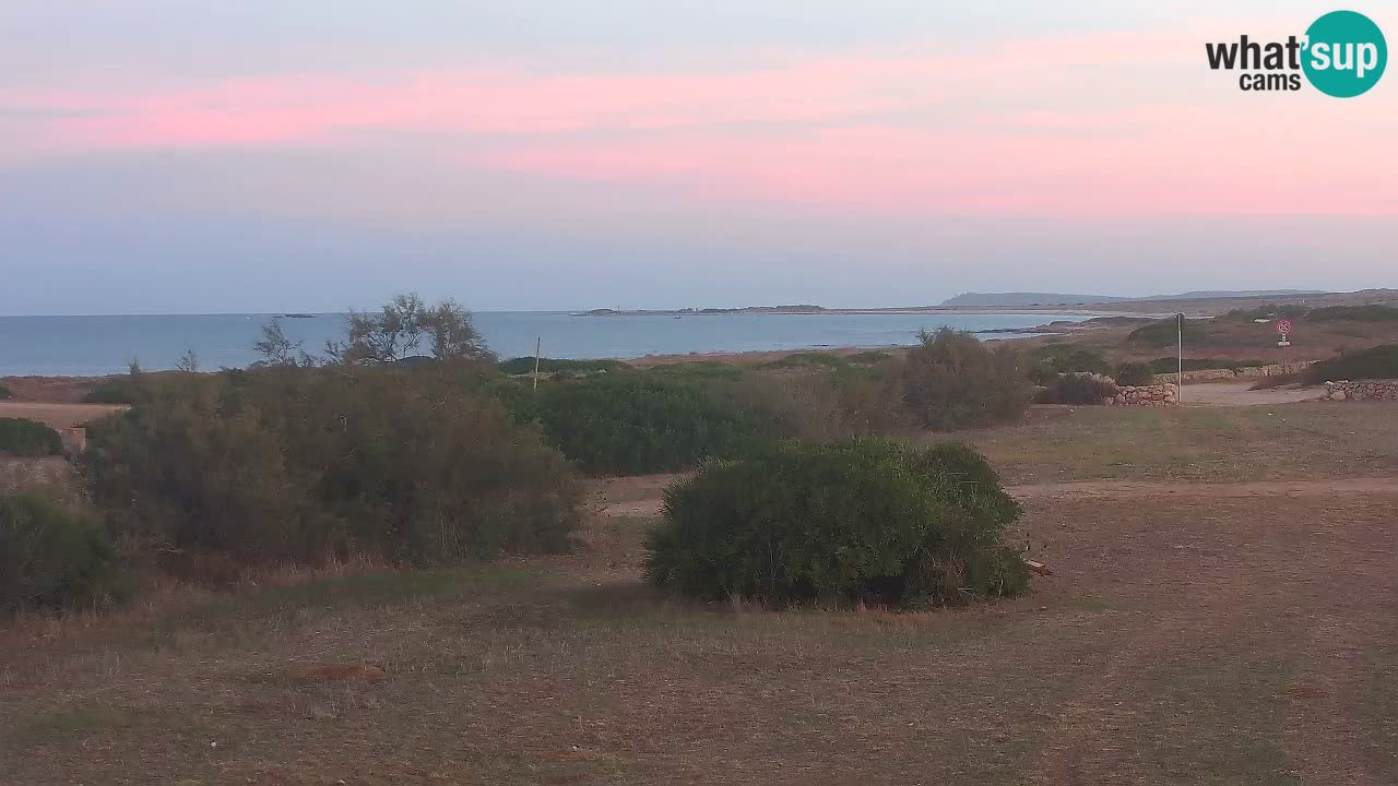 Playa Mari Ermi | Is Arutas – Oristano