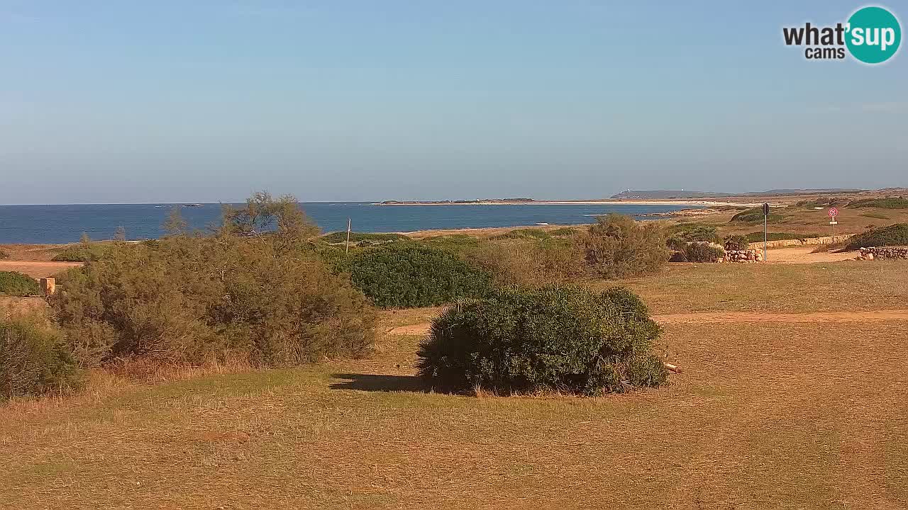 Mari Ermi Strand | Is Arutas – Oristano