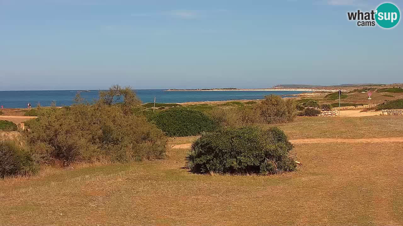 Spiaggia Mari Ermi | Is Arutas – Oristano