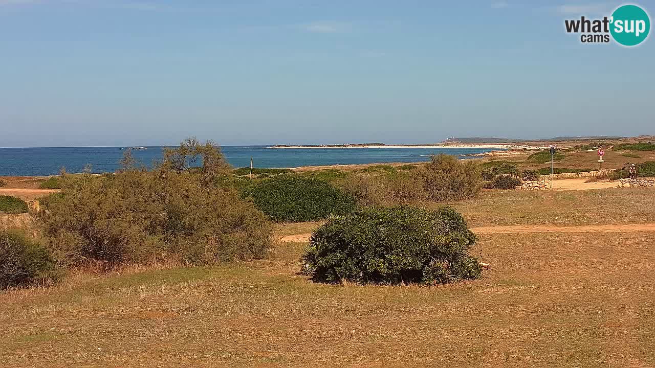 Plage Mari Ermi | Is Arutas – Oristano