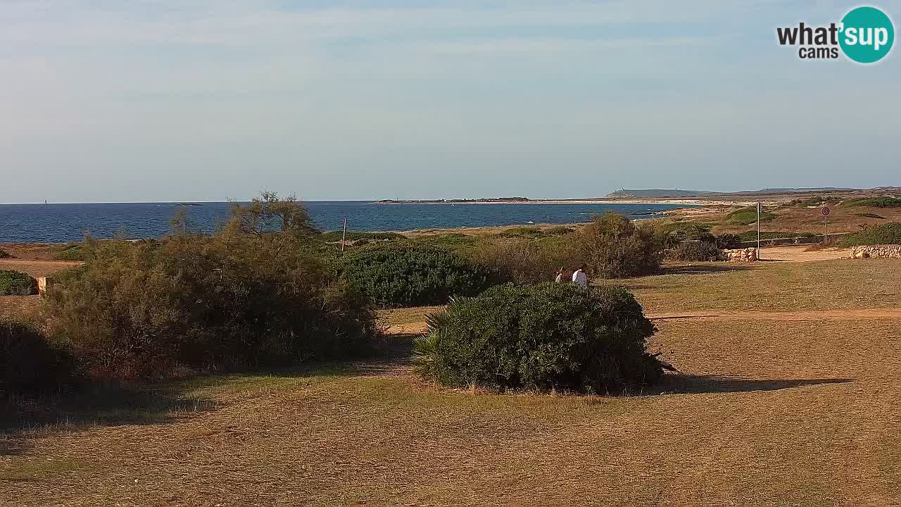 Mari Ermi beach | Is Arutas – Oristano