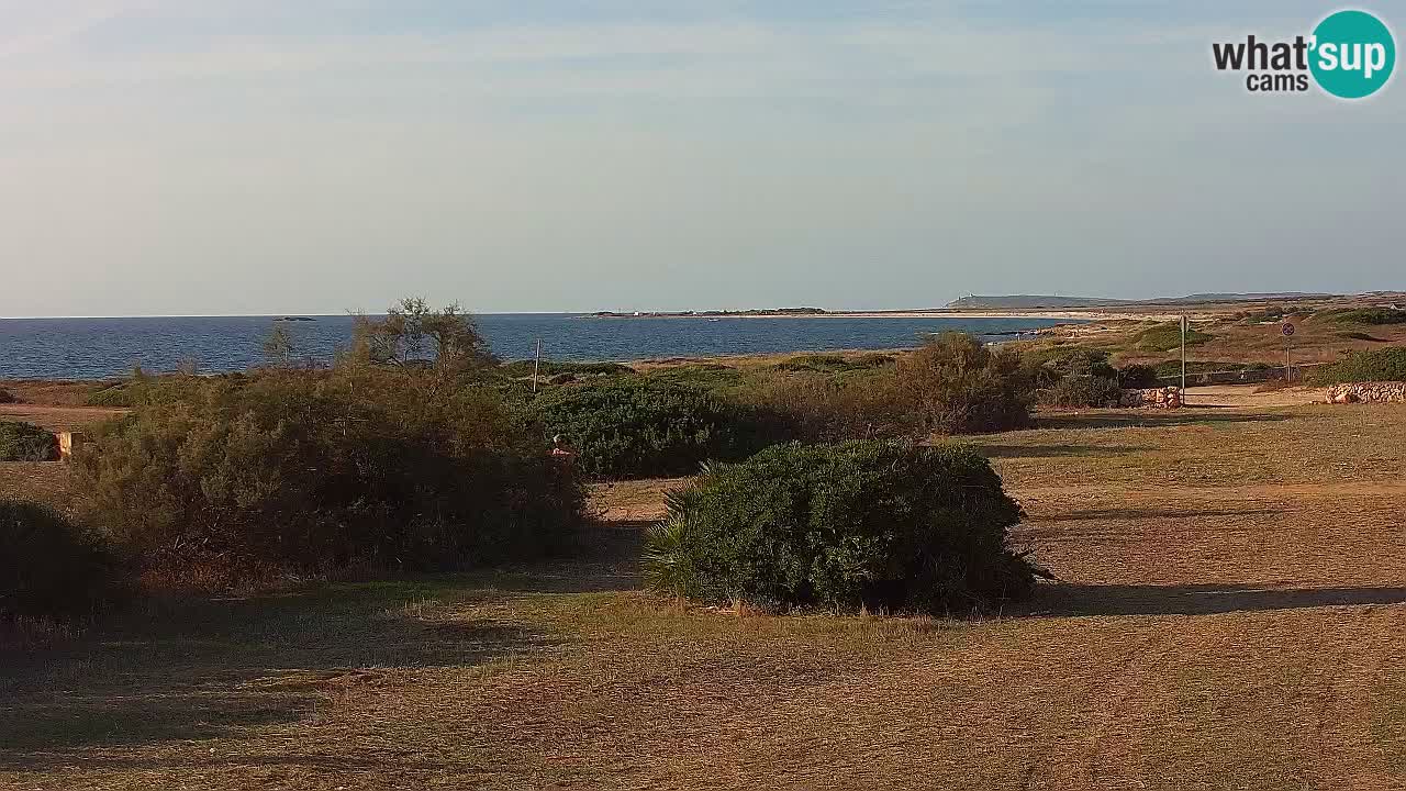 Mari Ermi Strand | Is Arutas – Oristano