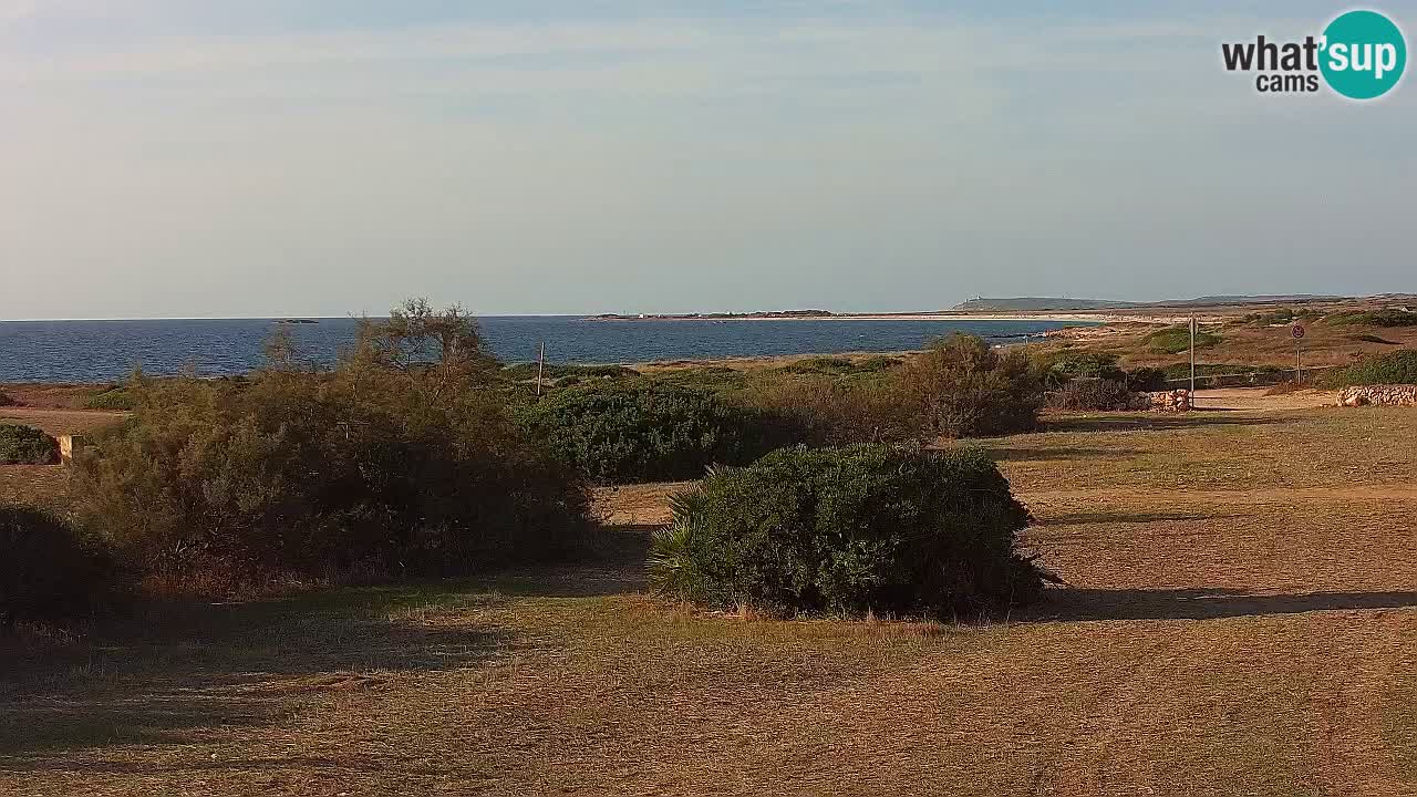 Plage Mari Ermi | Is Arutas – Oristano