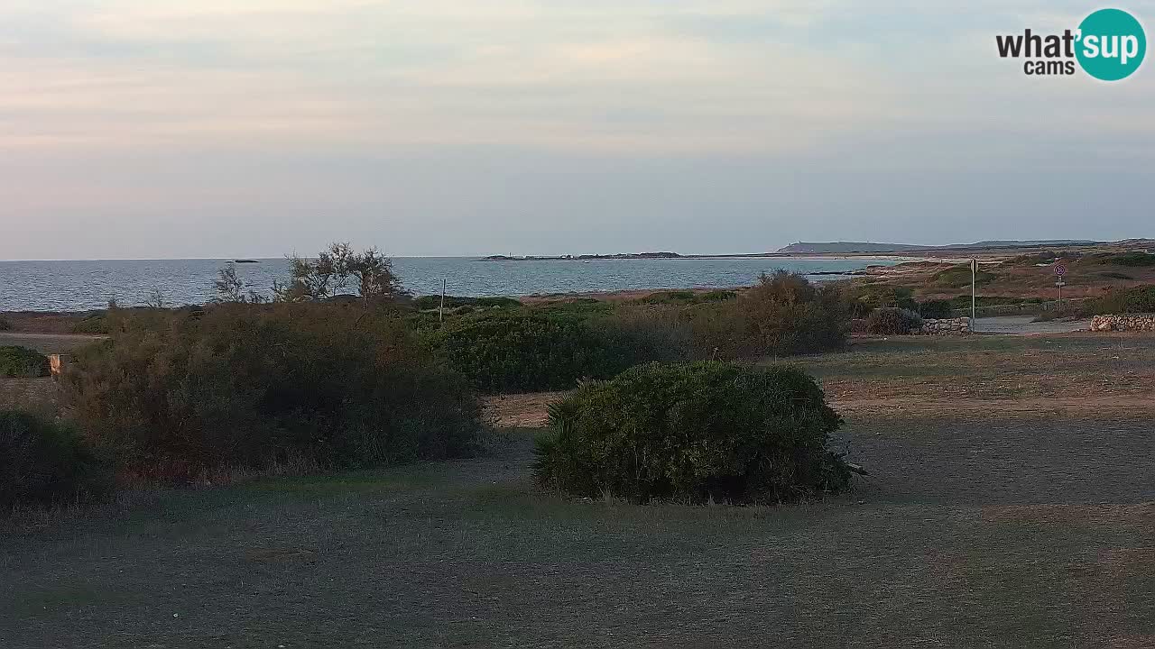 Plaža Mari Ermi | Is Arutas – Oristano