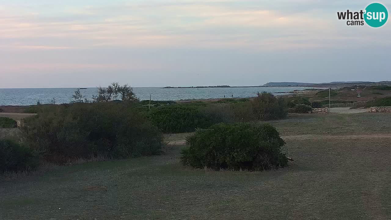 Playa Mari Ermi | Is Arutas – Oristano