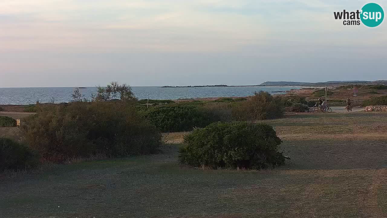 Playa Mari Ermi | Is Arutas – Oristano