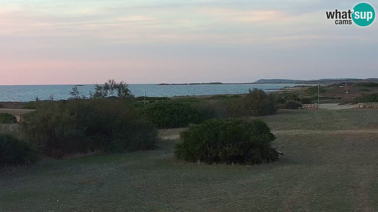 Mari Ermi Strand | Is Arutas – Oristano