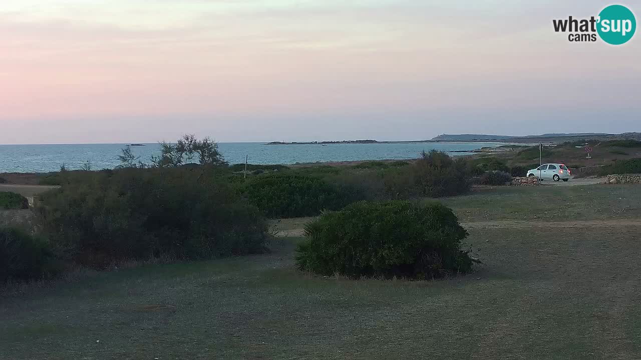 Mari Ermi Strand | Is Arutas – Oristano