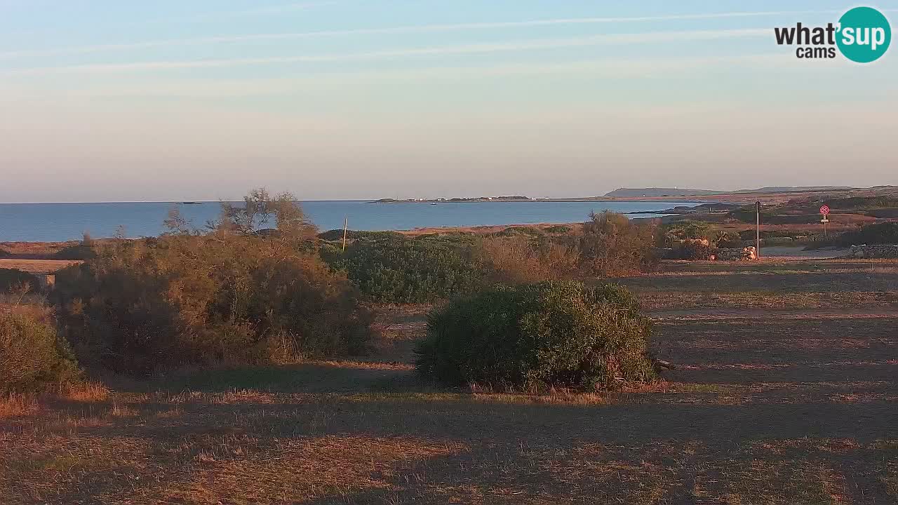 Playa Mari Ermi | Is Arutas – Oristano