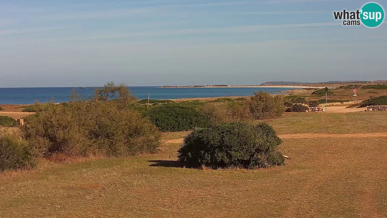 Plage Mari Ermi | Is Arutas – Oristano