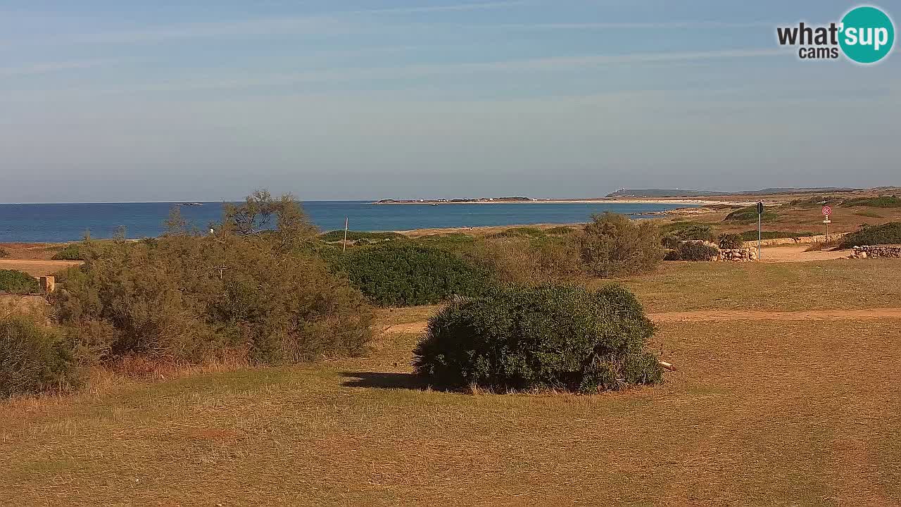 Mari Ermi Strand | Is Arutas – Oristano