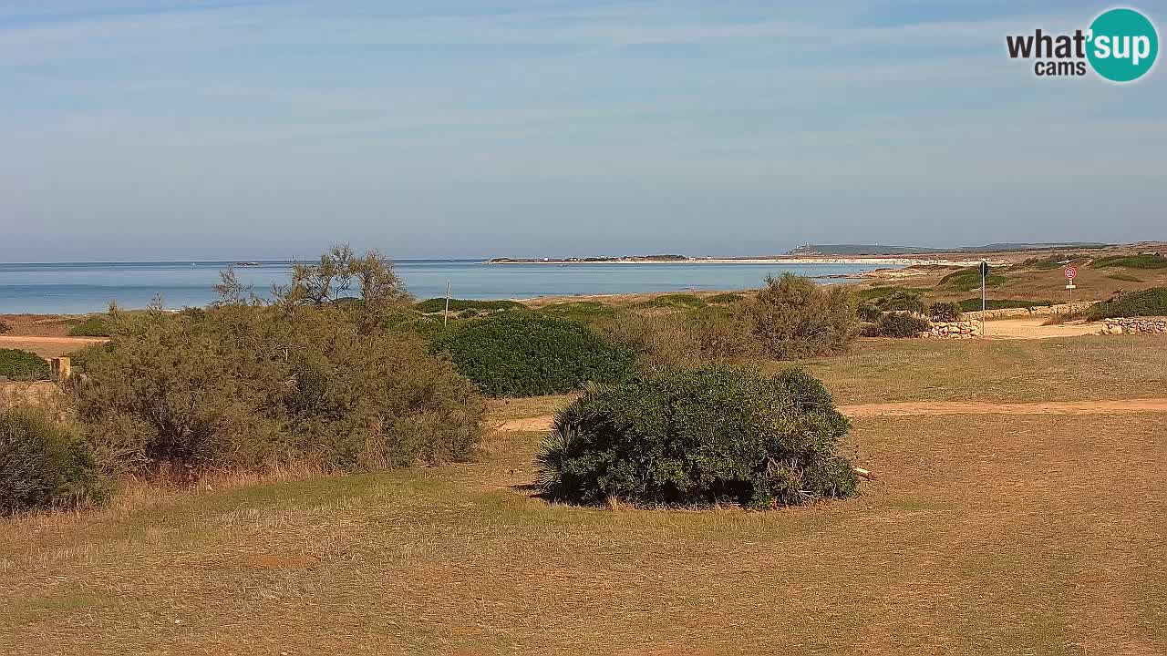 Spiaggia Mari Ermi | Is Arutas – Oristano