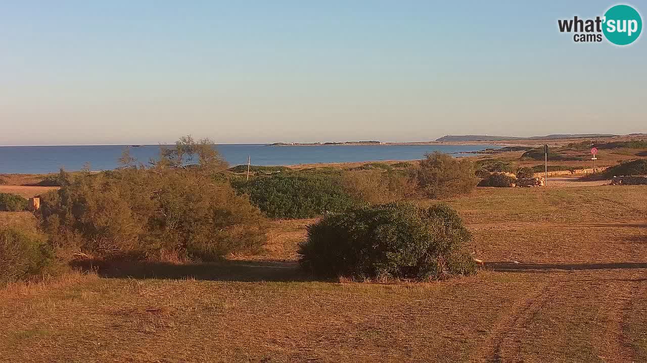 Plaža Mari Ermi | Is Arutas – Oristano